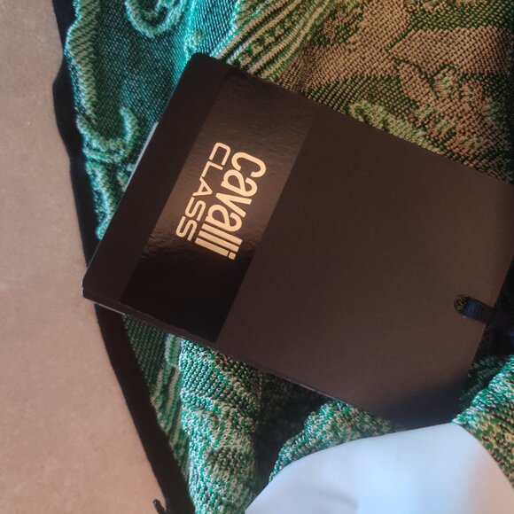 Roberto Cavalli dress size 54 New (18 US ) $2298 - Picture 4 of 6